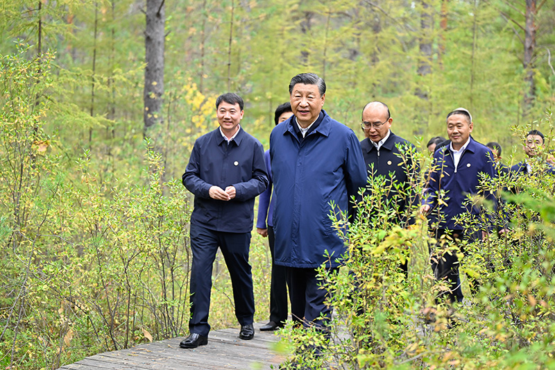 9月6日至8日，中共中央总书记、国家主席、中央军委主席习近平在黑龙江考察。这是6日下午，习近平在大兴安岭地区漠河市漠河林场自然林区考察